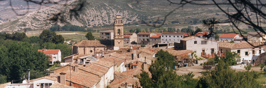 Alfafara
