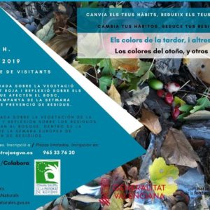 colors tardor font roja