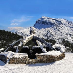 programació nadal agres 2019