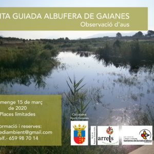 visita guiada albufera gaianes