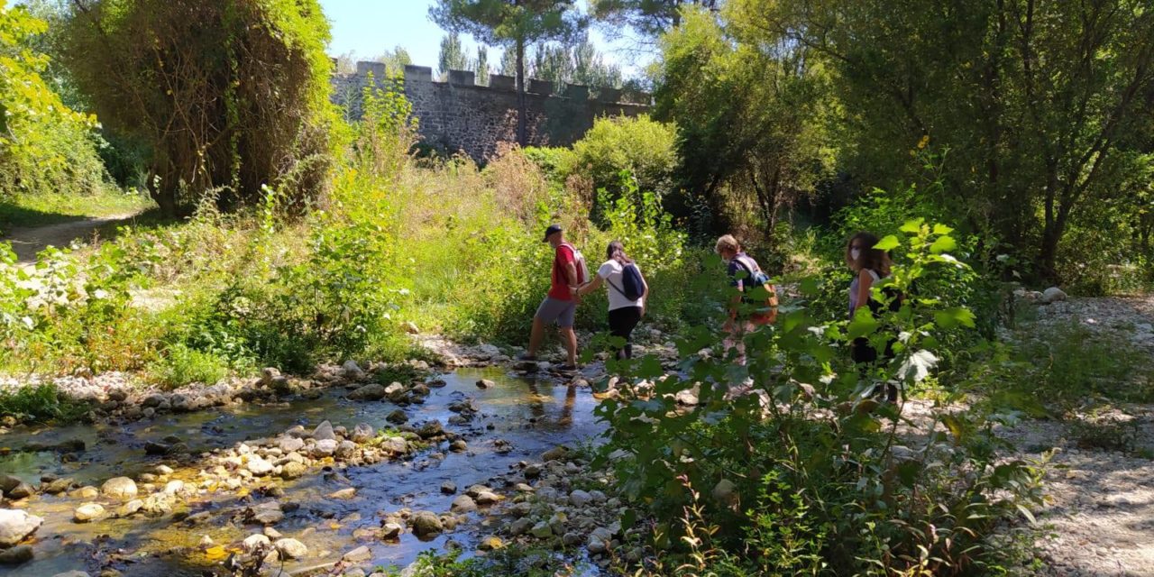 Més de 450 persones participen en les rutes de 20Mils